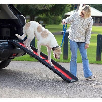 Henry Wag Pet Folding Ramp Lightweight | Luxury Home Accessories | Heulog Glow