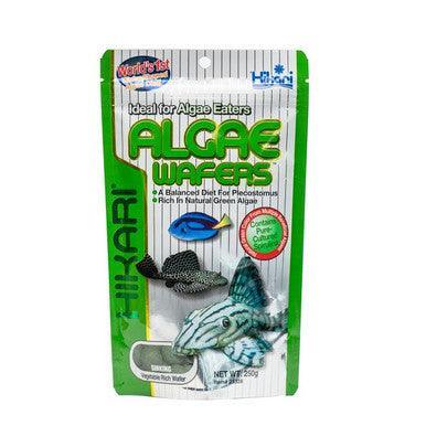 Hikari Algae Wafers [SNG] 250g | Luxury Home Accessories | Heulog Glow