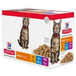 Hill's Science Plan Adult Wet Cat Food Multipack Chicken, Beef & Ocean Fish Flavour, 85g | Luxury Home Accessories | Heulog Glow