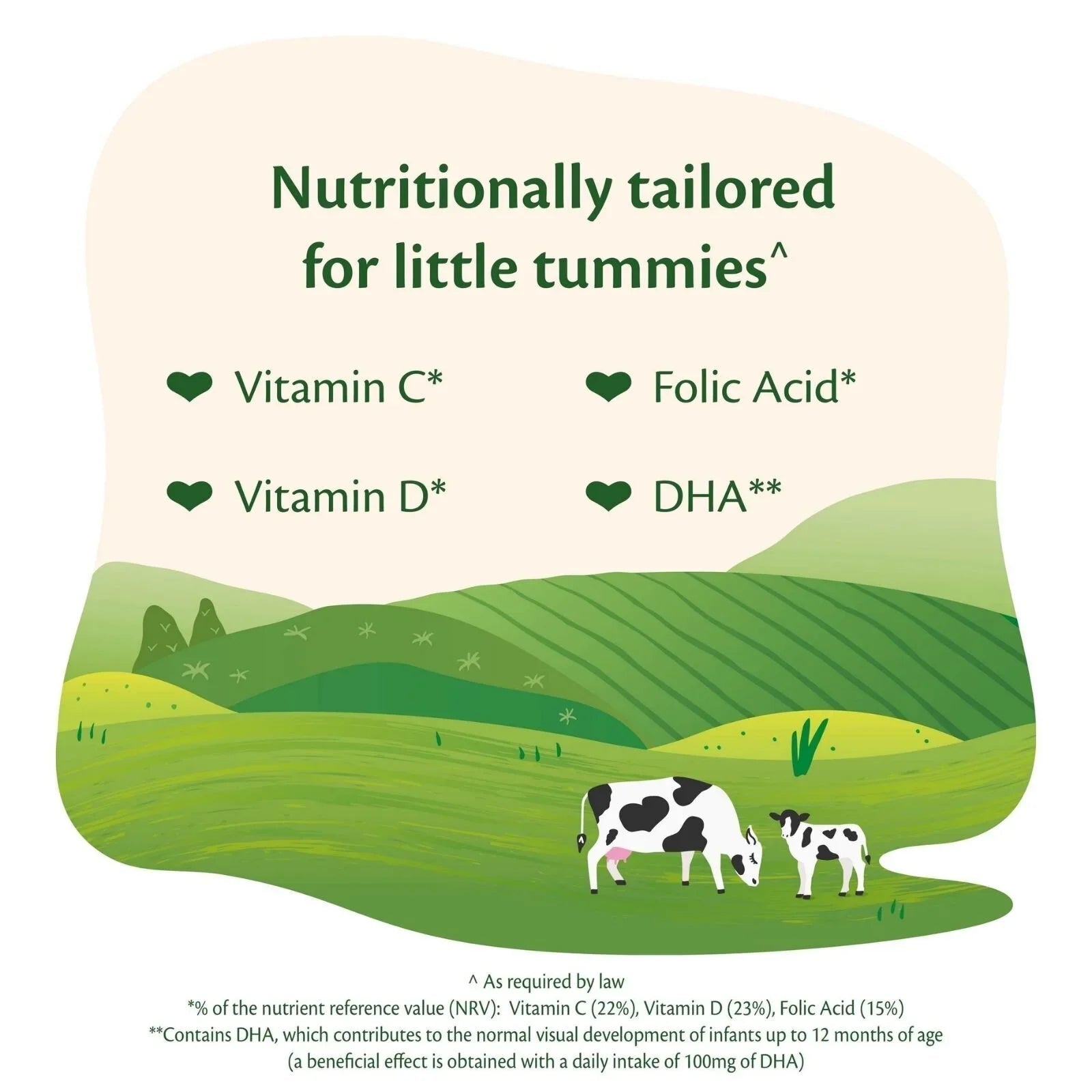 HiPP Organic 2 Follow on Baby Milk Formula from 6+ months 800g | Luxury Home Accessories | Heulog Glow