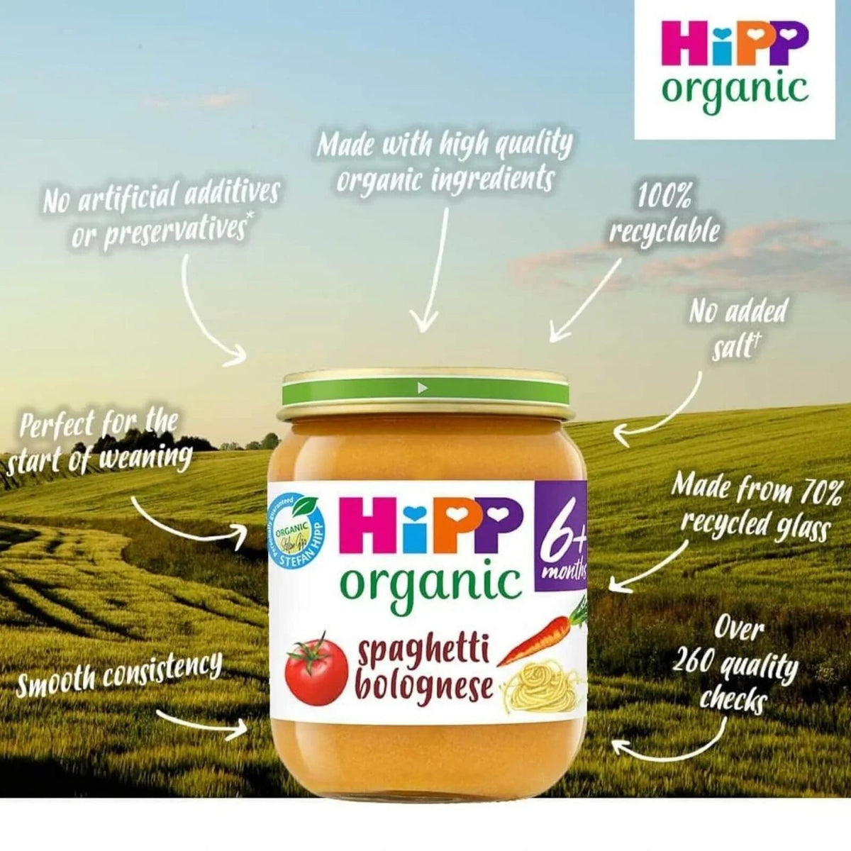 HiPP Organic Spaghetti Bolognese Baby Food Jar 6+ months 125g | Luxury Home Accessories | Heulog Glow