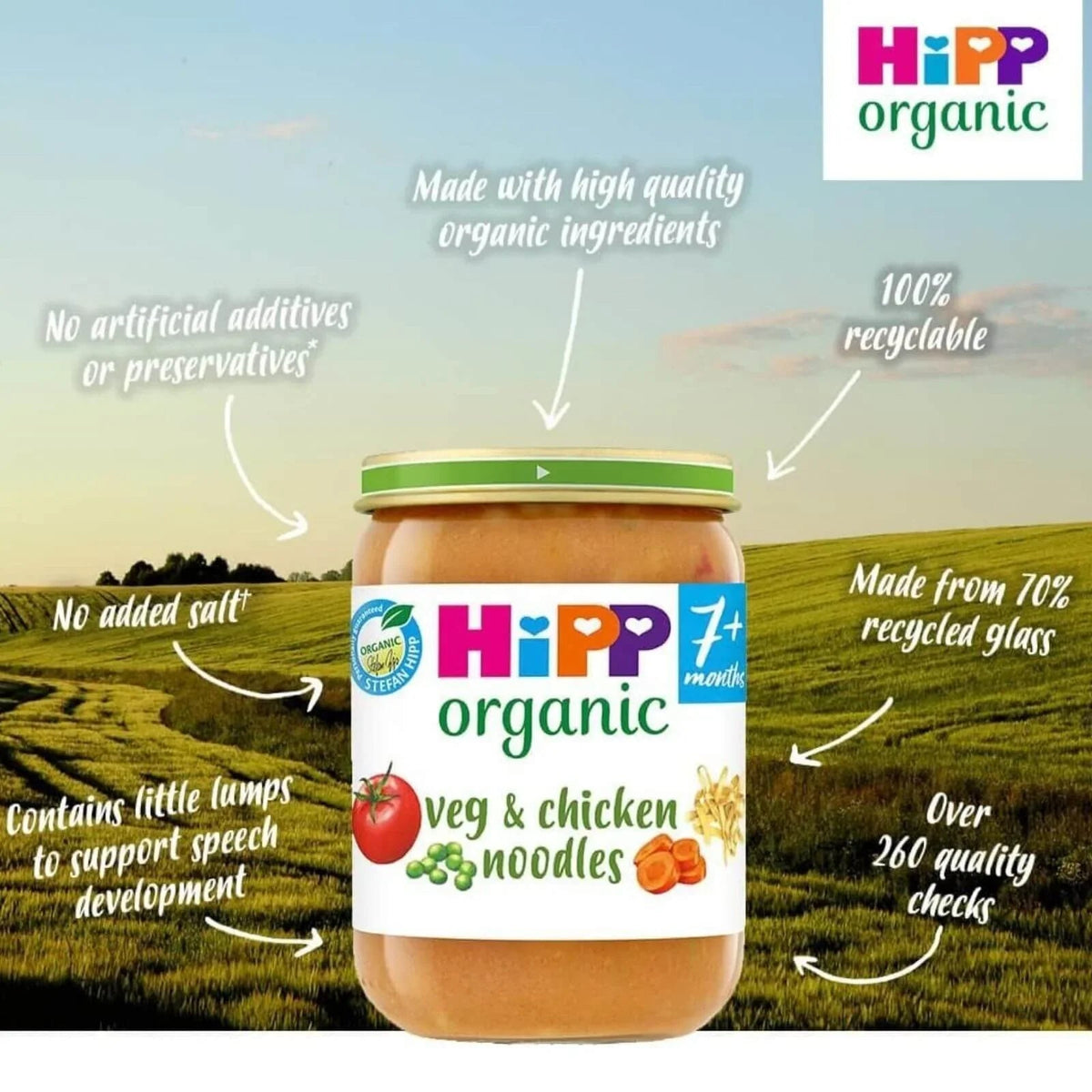 HiPP Organic Vegetables & Chicken Noodles Baby Food Jar 7+ months 190g | Luxury Home Accessories | Heulog Glow