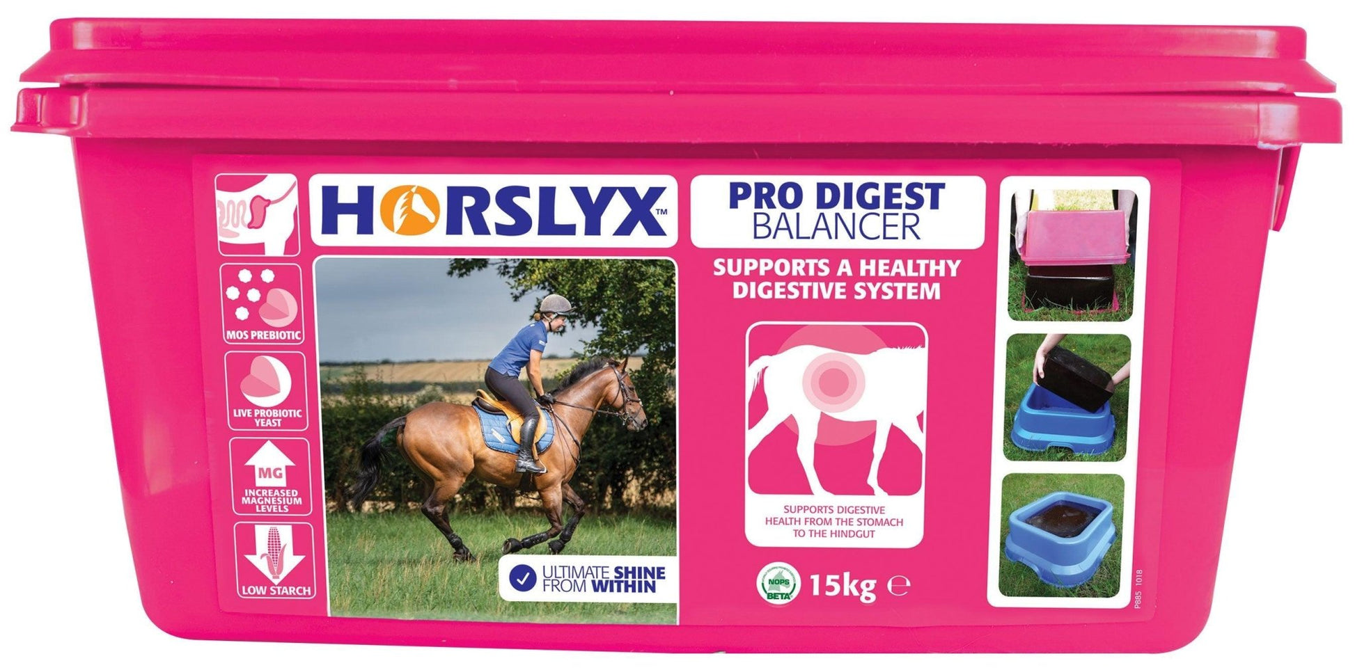 Horslyx Pro Digest Balancer Lick | Luxury Home Accessories | Heulog Glow