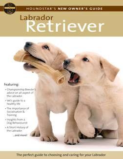 Houndstars Dvd New Owner Guide Labrador Retriever | Luxury Home Accessories | Heulog Glow