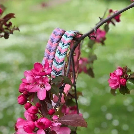 Hybraid Biothane Collar - Handmade Hybraid Dog Collar. | Luxury Home Accessories | Heulog Glow
