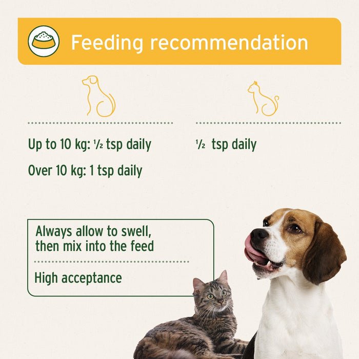 Indian Psyllium Seeds for Dogs, Cats and Horses 1KG | Luxury Home Accessories | Heulog Glow