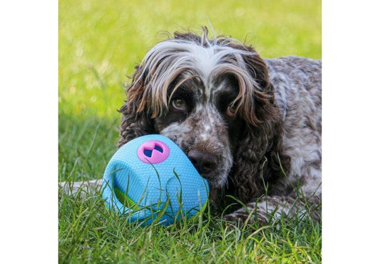 Interactive Treat Ball | Luxury Home Accessories | Heulog Glow