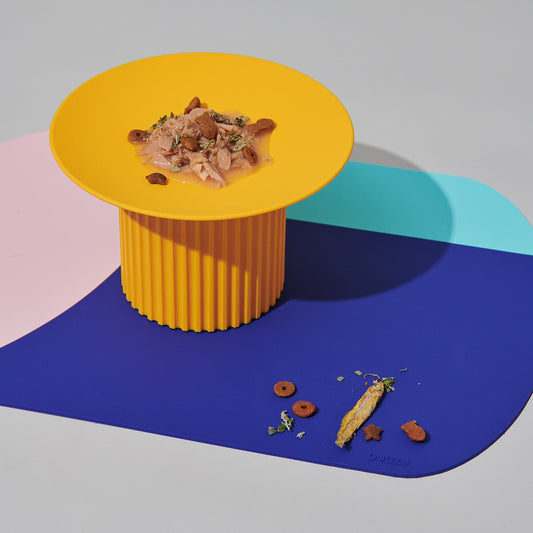 Interdental Party Pet Placemats Spill-proof And Waterproof | Luxury Home Accessories | Heulog Glow