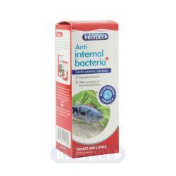 Interpet Anti Internal Bacteria, 100ml | Luxury Home Accessories | Heulog Glow