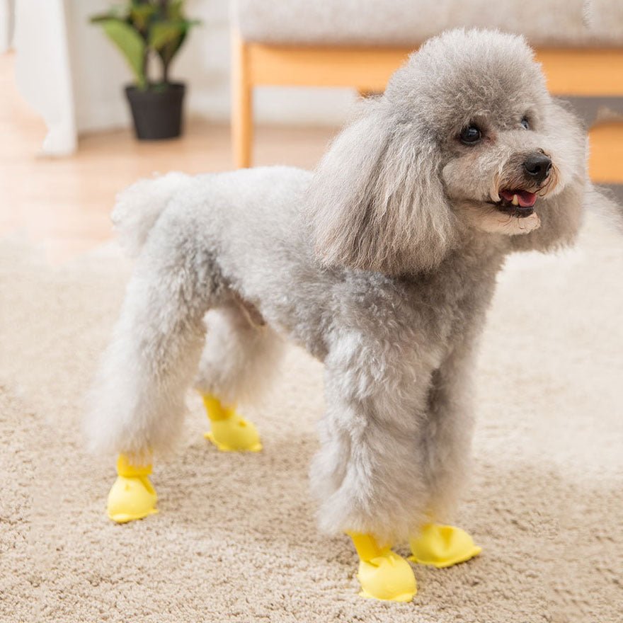 Jelly Rain Boots 4 Waterproof Foot Covers | Luxury Home Accessories | Heulog Glow