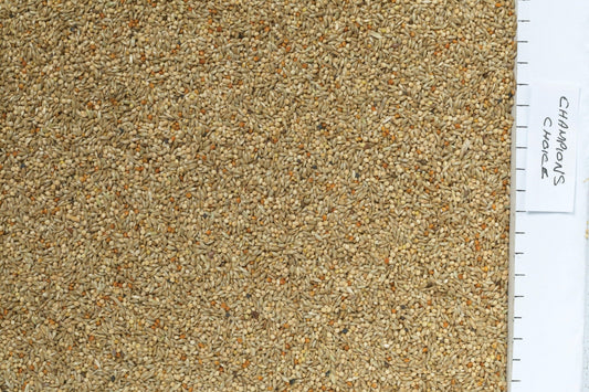 Johnston & Jeff Champions Choice Budgieseed | Luxury Home Accessories | Heulog Glow