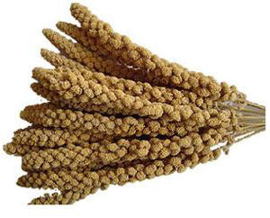 Johnston & Jeff Millet Spray Bird Treat 15kg | Luxury Home Accessories | Heulog Glow