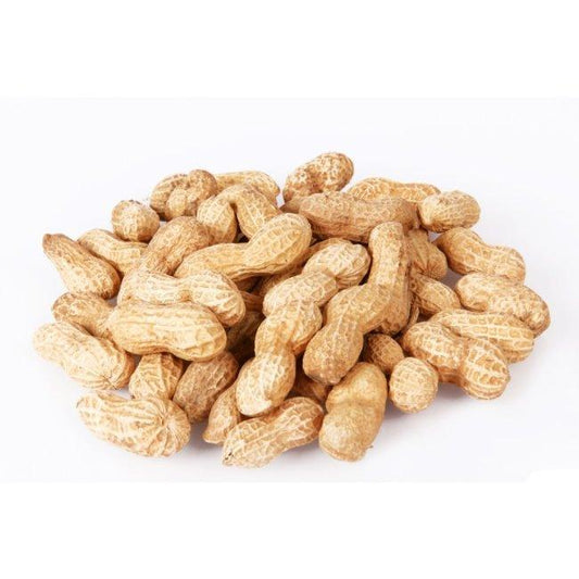 Johnston & Jeff Monkey Nuts in Shells 22lb | Luxury Home Accessories | Heulog Glow