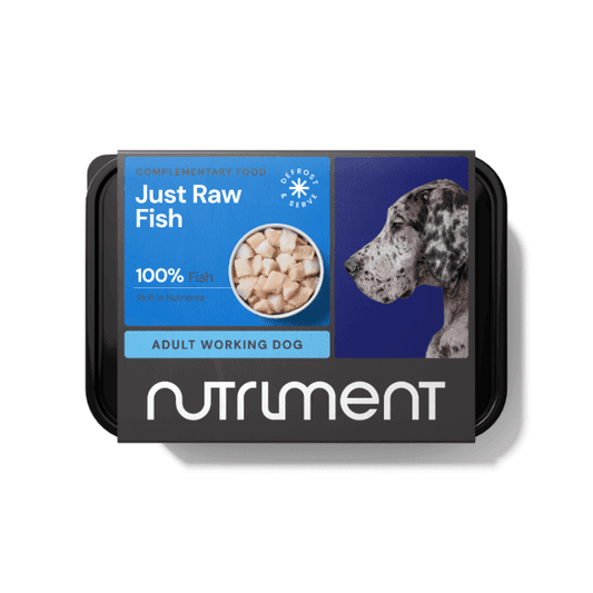Just White Fish - 500g tub | Luxury Home Accessories | Heulog Glow