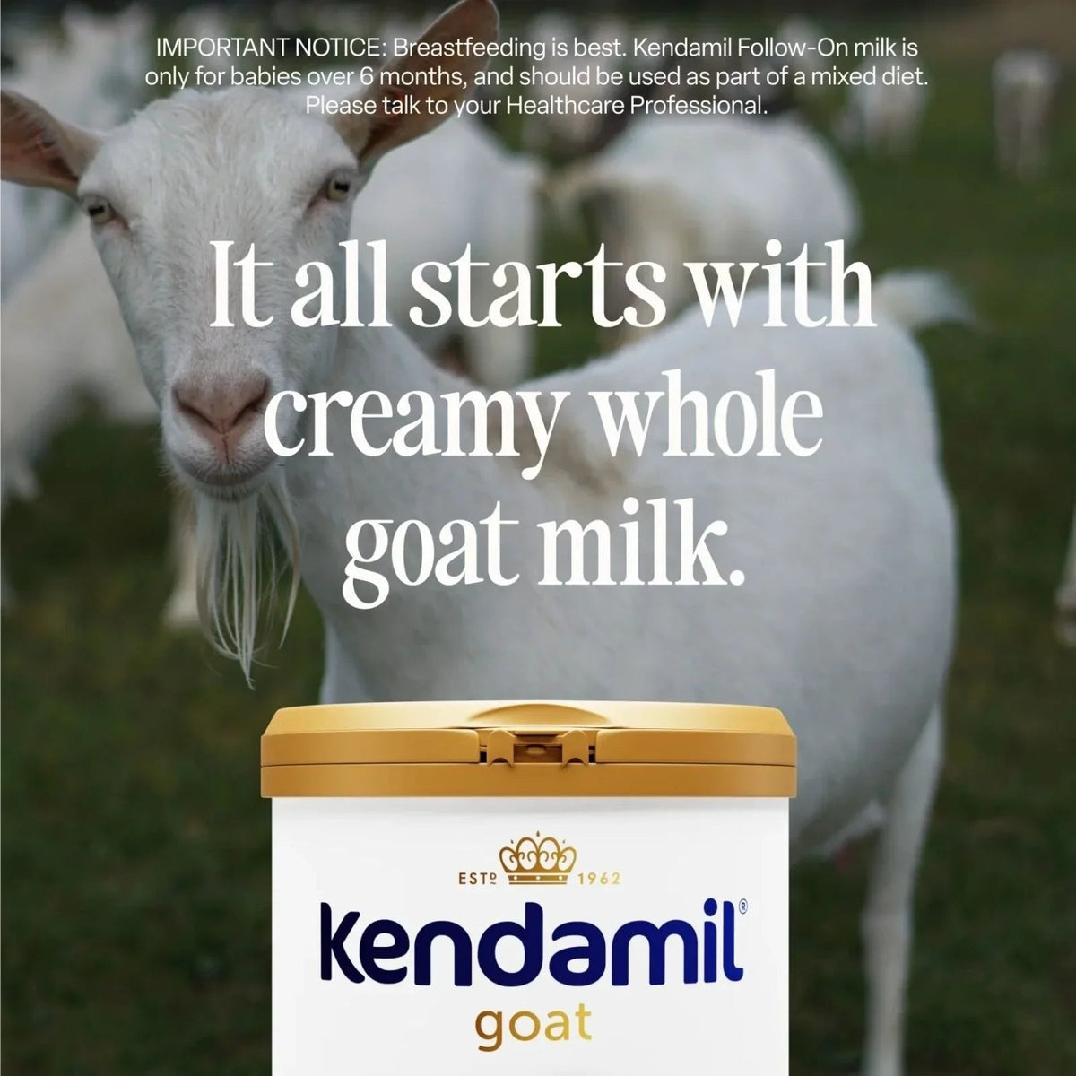 Kendamil Stage 1 Goat First Infant Milk From Birth 800g | Luxury Home Accessories | Heulog Glow