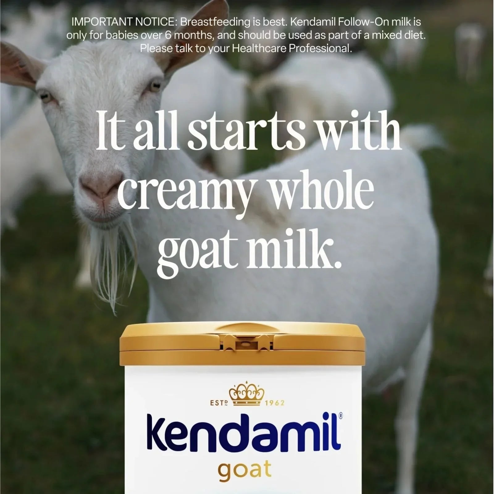 Kendamil Stage 2 Goat Follow-On Milk 6-12 months 800g | Luxury Home Accessories | Heulog Glow
