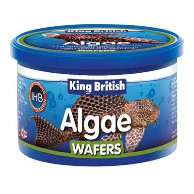 King B Algae Wafers (With IHB) 6x40g | Luxury Home Accessories | Heulog Glow