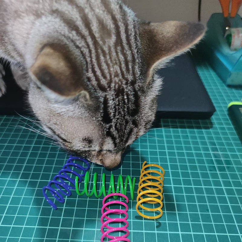 Kitten Cat Toys Wide Durable Heavy Gauge Cat Spring Toy Colorful Springs Cat Pet Toy Coil Spiral Springs | Luxury Home Accessories | Heulog Glow
