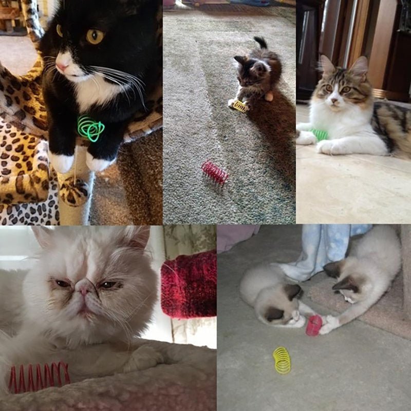 Kitten Cat Toys Wide Durable Heavy Gauge Cat Spring Toy Colorful Springs Cat Pet Toy Coil Spiral Springs | Luxury Home Accessories | Heulog Glow