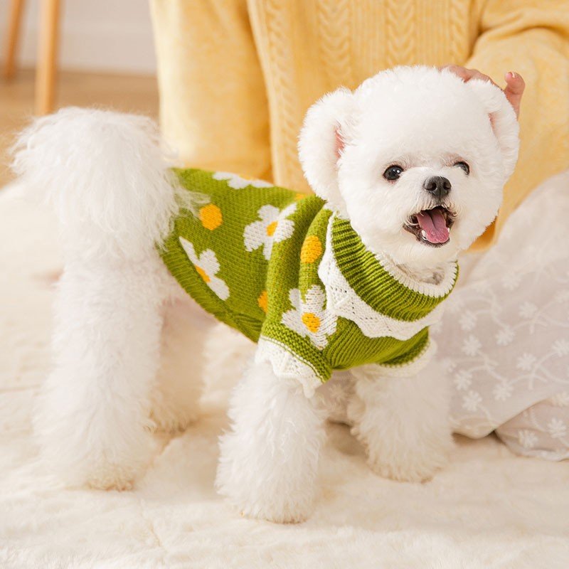 Knit Sweater Autumn Winter Puppy Clothes | Luxury Home Accessories | Heulog Glow