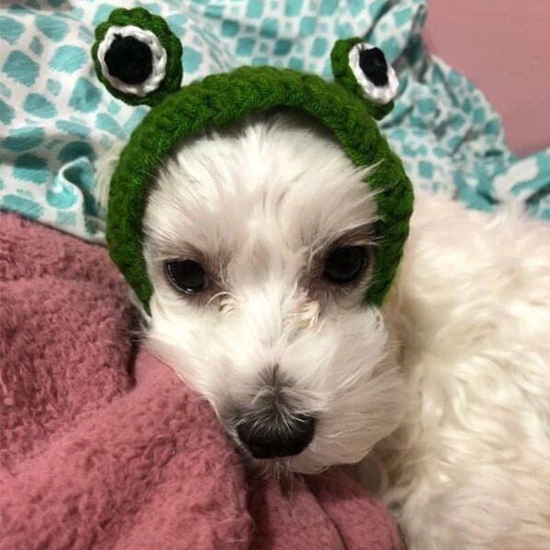 Knitted Wool Pet Hat Photo Frog Headdress | Luxury Home Accessories | Heulog Glow