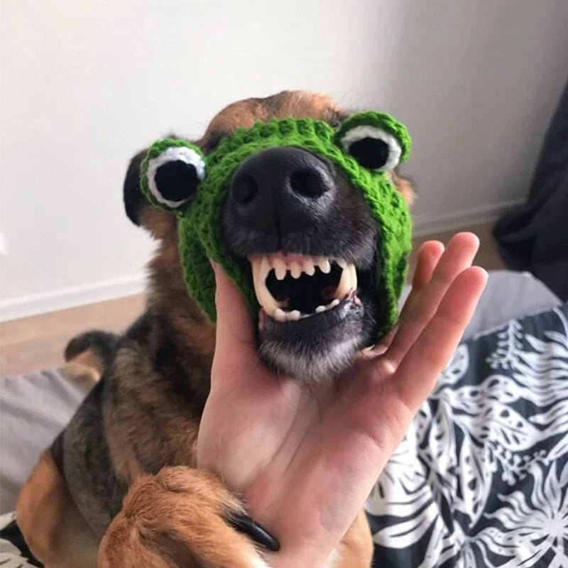 Knitted Wool Pet Hat Photo Frog Headdress | Luxury Home Accessories | Heulog Glow