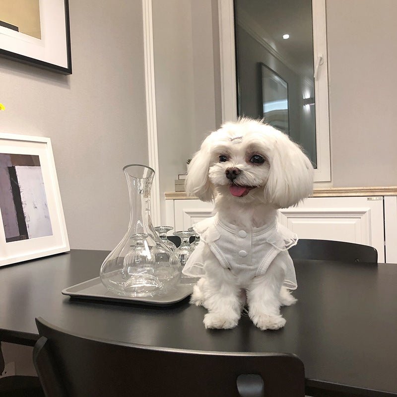 Korean White Sarong Dog Skirt | Luxury Home Accessories | Heulog Glow