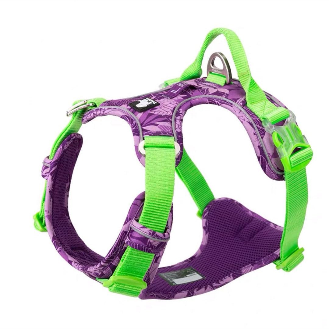 Labrador Comfortable Chest Strap | Luxury Home Accessories | Heulog Glow