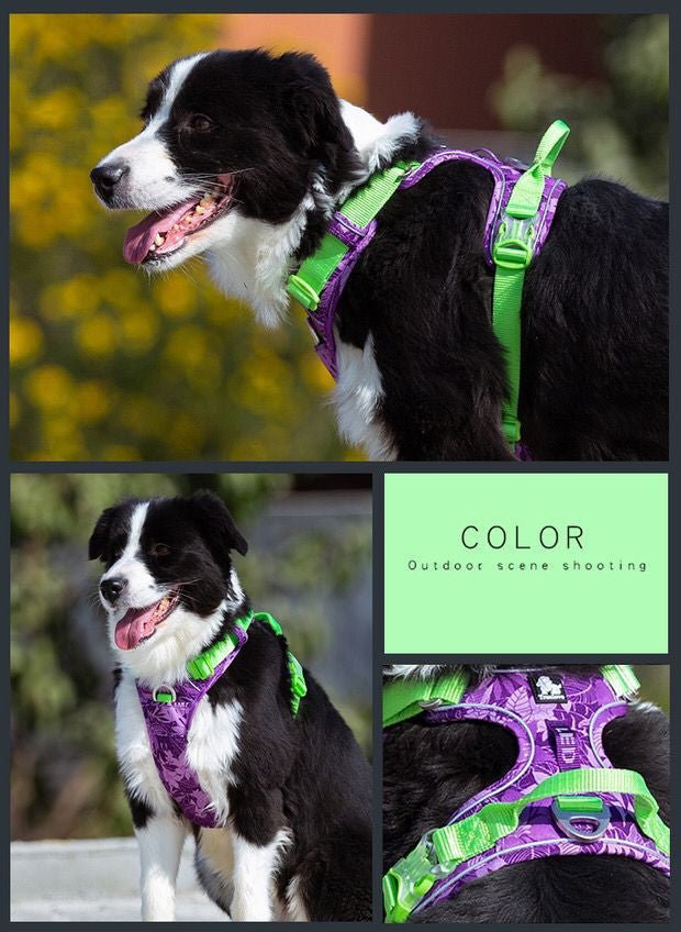 Labrador Comfortable Chest Strap | Luxury Home Accessories | Heulog Glow