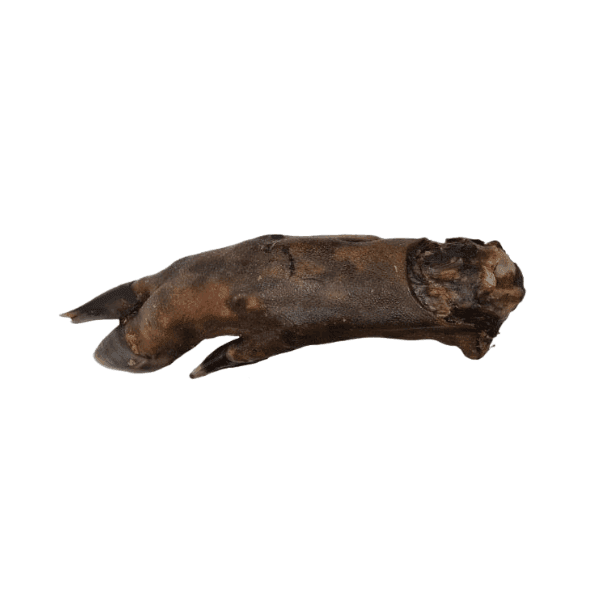 Lamb Trotter | Luxury Home Accessories | Heulog Glow