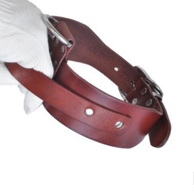 Large and medium sized dog collar adjustable pet collar | Luxury Home Accessories | Heulog Glow
