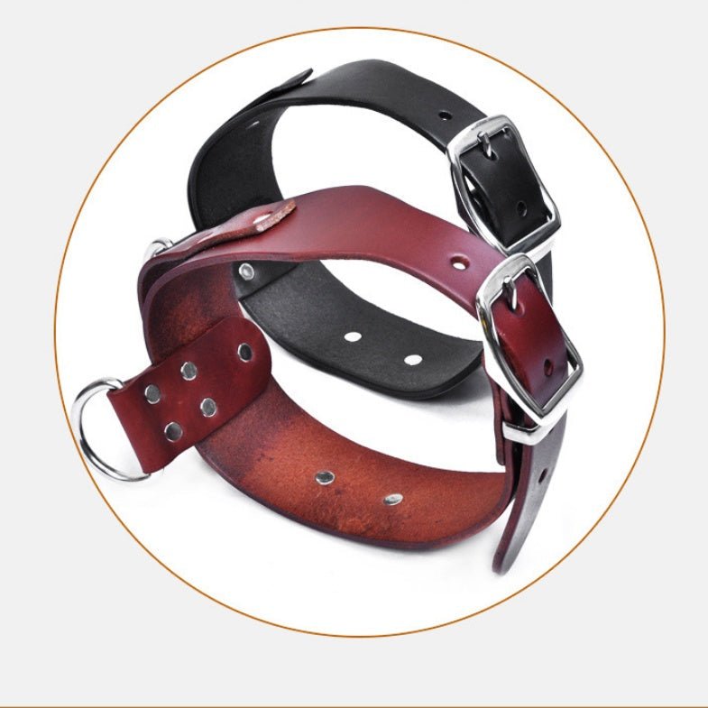 Large and medium sized dog collar adjustable pet collar | Luxury Home Accessories | Heulog Glow