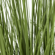 Large Onion Grass Plant In Pot | Luxury Home Accessories | Heulog Glow