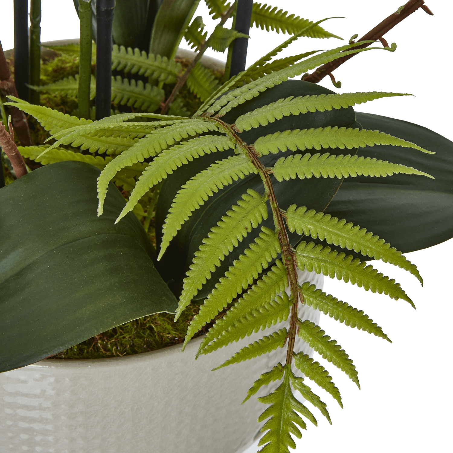Large White Orchid In Ceramic Pot | Luxury Home Accessories | Heulog Glow