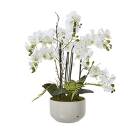 Large White Orchid In Ceramic Pot | Luxury Home Accessories | Heulog Glow
