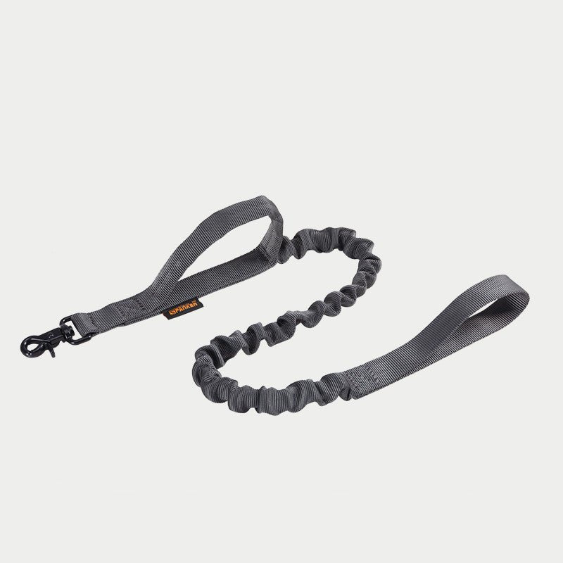 Leash For Large Dogs, Horse Dogs, German Shepherd Golden Retriever Labrador | Luxury Home Accessories | Heulog Glow