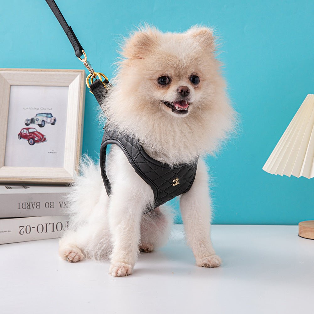 Leather Dog Chest And Back Traction Suit | Luxury Home Accessories | Heulog Glow