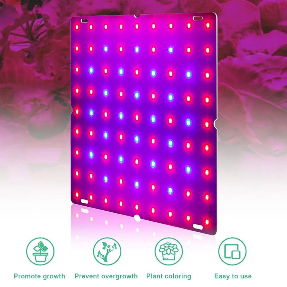 LED Plant Grow Light 1000W/2000W Full Spectrum Hydroponic | Luxury Home Accessories | Heulog Glow