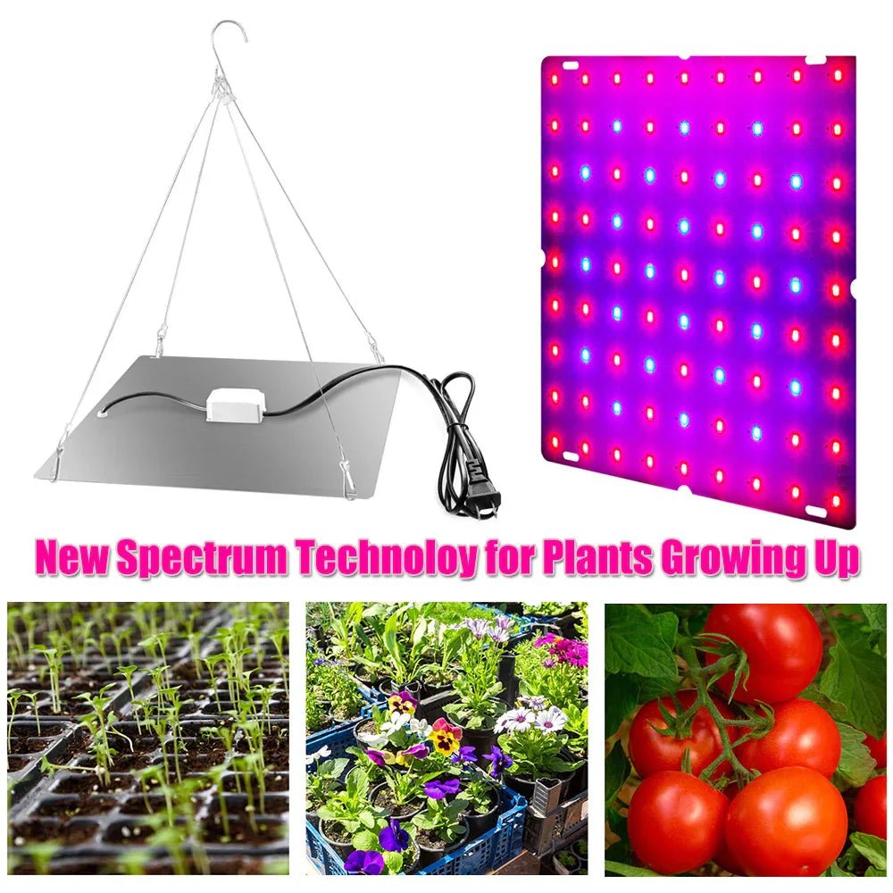 LED Plant Grow Light 1000W/2000W Full Spectrum Hydroponic | Luxury Home Accessories | Heulog Glow