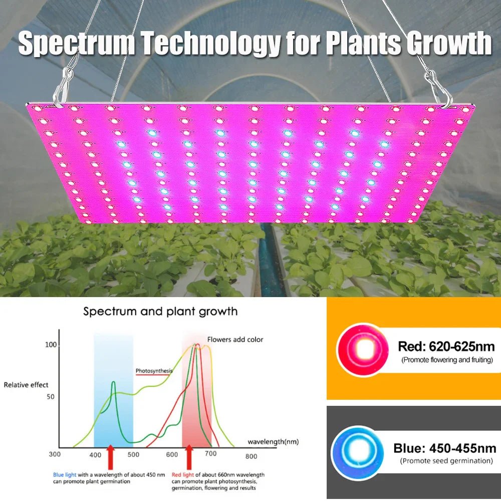 LED Plant Grow Light 1000W/2000W Full Spectrum Hydroponic | Luxury Home Accessories | Heulog Glow