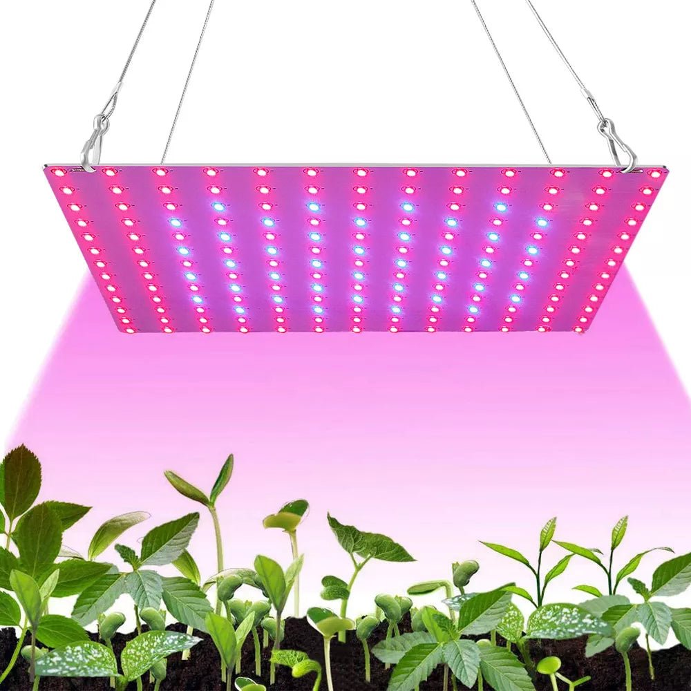 LED Plant Grow Light 1000W/2000W Full Spectrum Hydroponic | Luxury Home Accessories | Heulog Glow