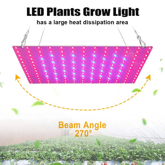 LED Plant Grow Light 1000W/2000W Full Spectrum Hydroponic | Luxury Home Accessories | Heulog Glow