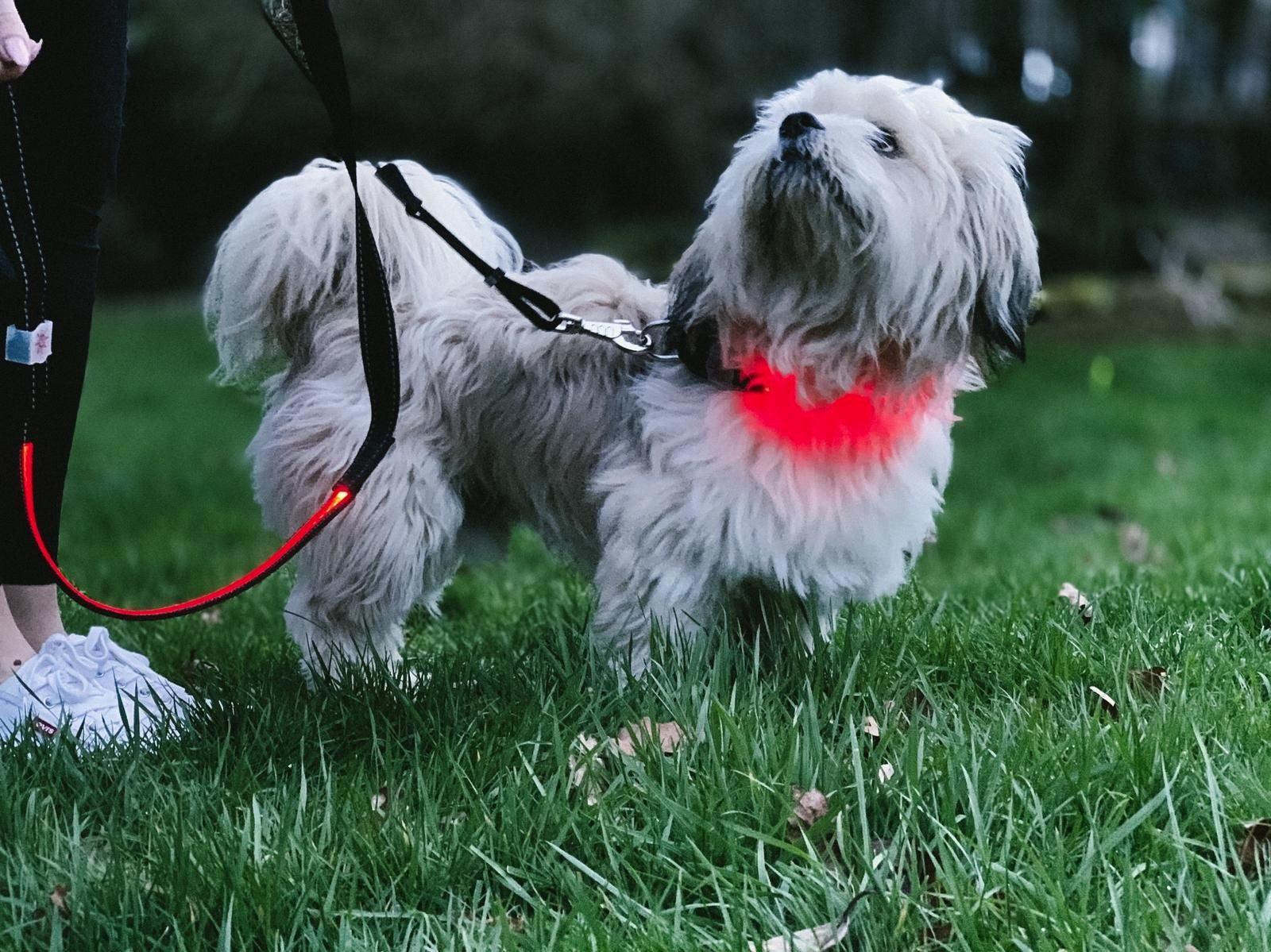Lilly & Jake LED Lead Red | Luxury Home Accessories | Heulog Glow