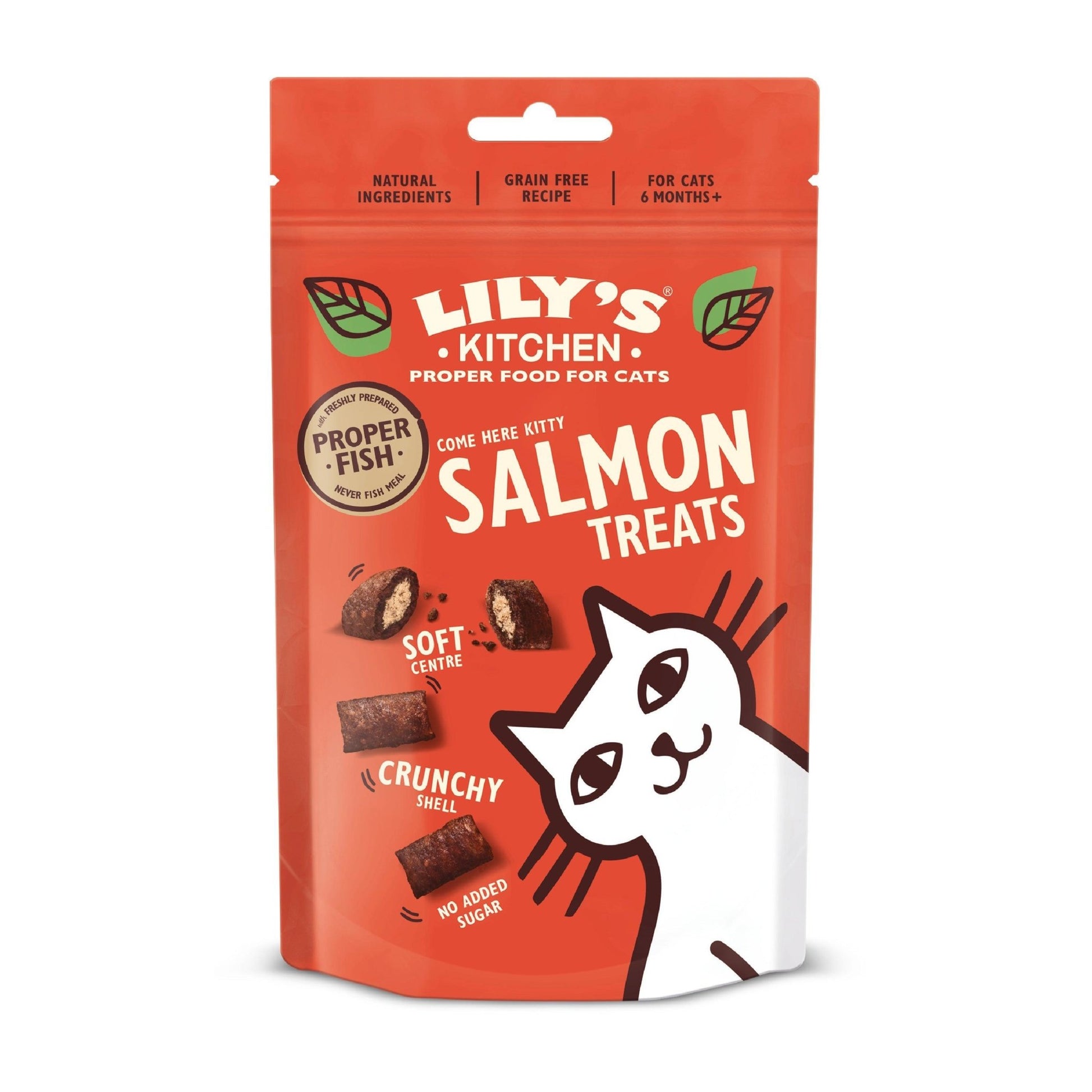 Lily's Kitchen Cat Salmon Treats 60g | Luxury Home Accessories | Heulog Glow