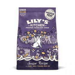 Lily's Kitchen Dog 8+ Salmon & Trout, 2.5kg | Luxury Home Accessories | Heulog Glow