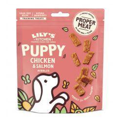 Lily's Kitchen Puppy Treats Chicken & Salmon, 70g | Luxury Home Accessories | Heulog Glow