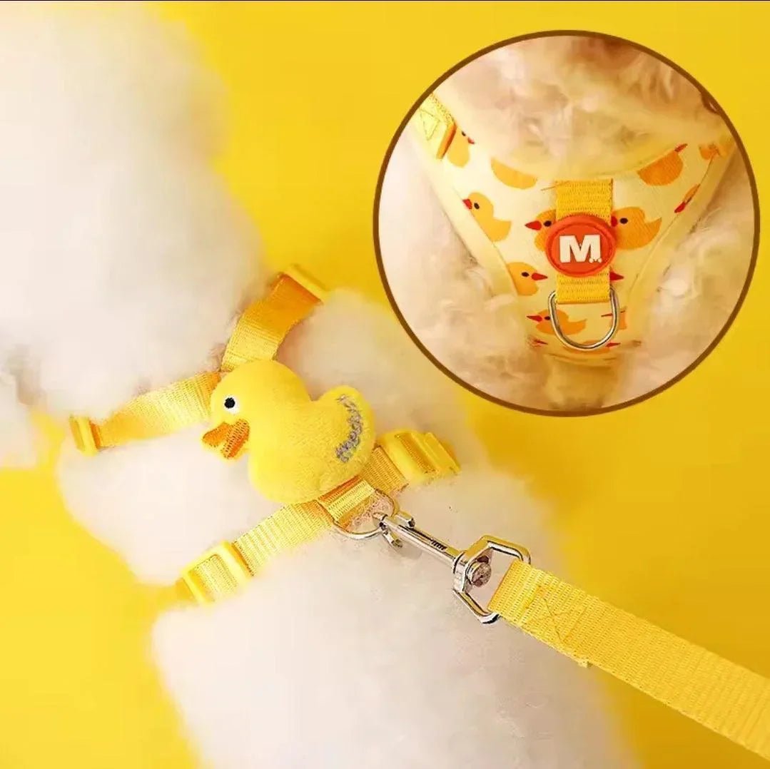 Little Duck Dog Harness & Lead Set | Luxury Home Accessories | Heulog Glow