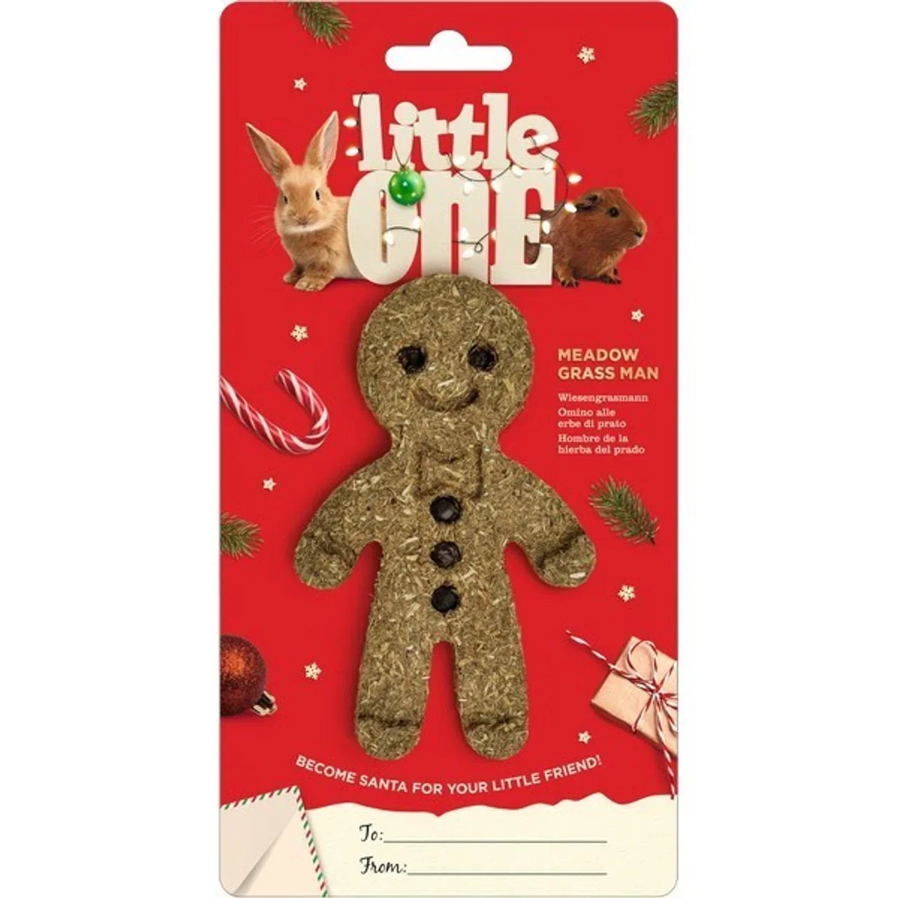 Little One Meadow grass man. Christmas treat-toy for guinea pigs, rabbits, chinchillas and degus 55g | Luxury Home Accessories | Heulog Glow