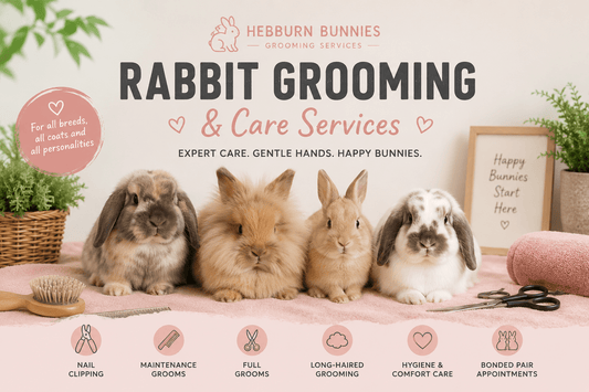 Long-Haired & Heavy Coat Rabbit Groom | Hebburn Bunnies | Luxury Home Accessories | Heulog Glow