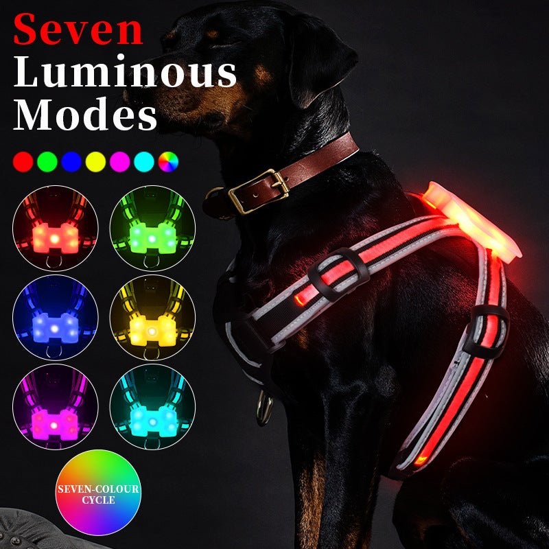 Luminous Strap Charging For Common Dogs Nylon Luminous Explosion-proof Hand Holding Rope | Luxury Home Accessories | Heulog Glow